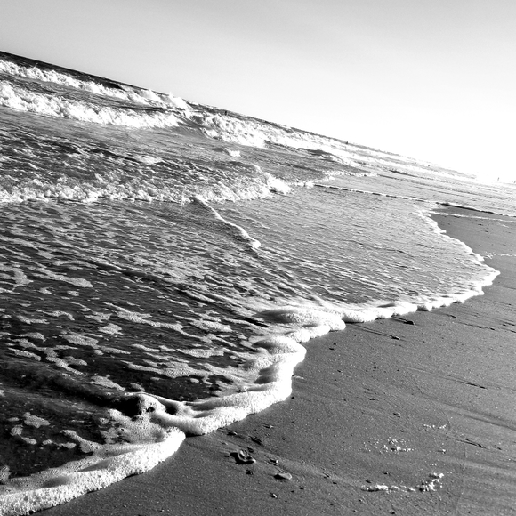 Meet your Posher, Brandi - Picture 8 of 12